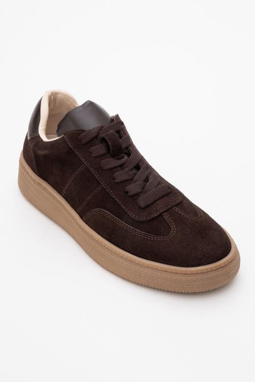 Forever & Always Shoes Fyore Leather Sneakers In Brown Suede Leather
