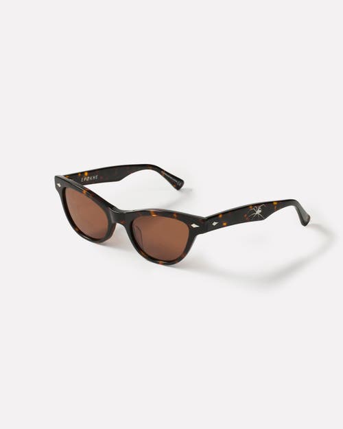 Epokhe Veil Sunglasses In Brown