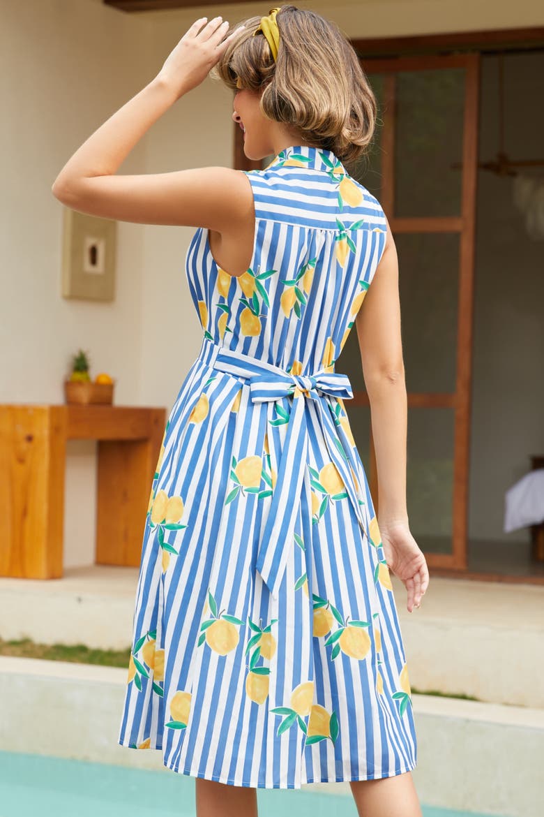Carousel Cutie Sleeveless Fit & Flare Dress, Alternate, color, Lemon Stripe
