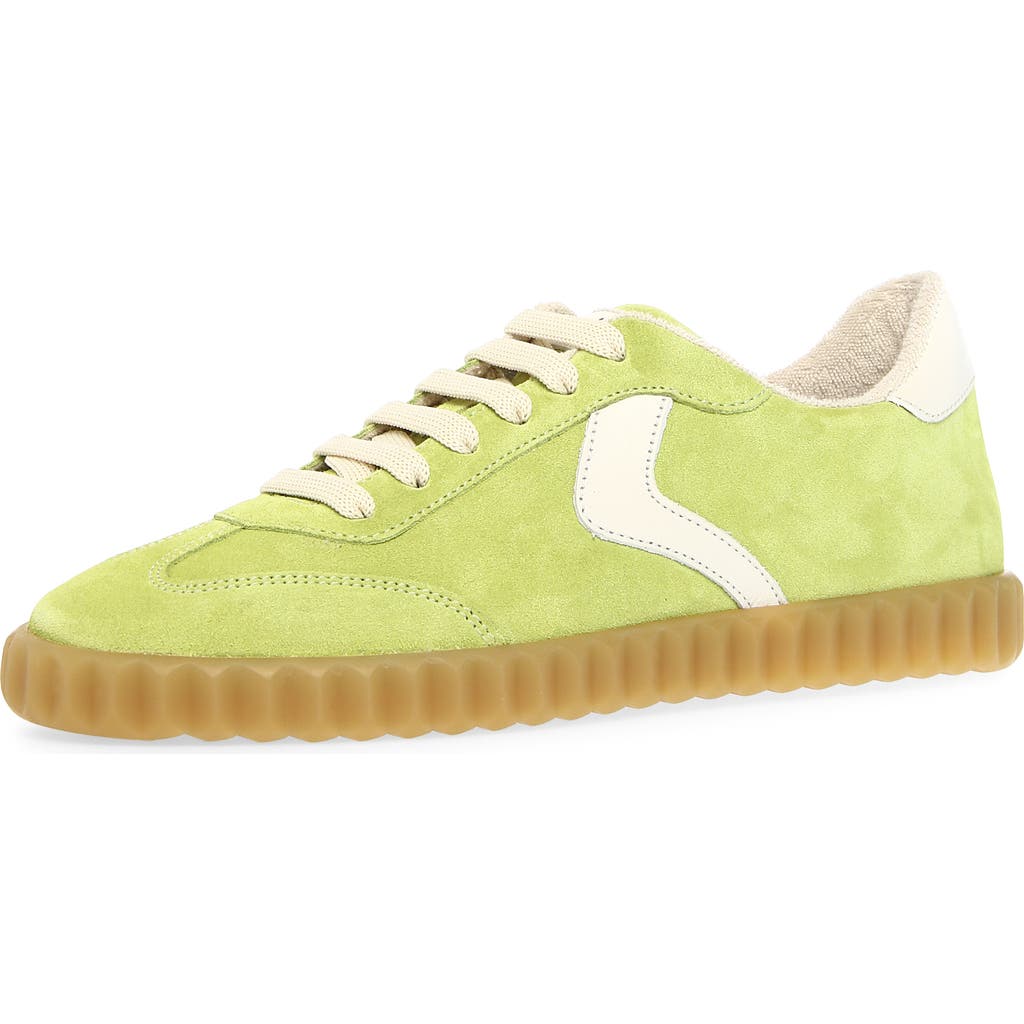 Voile Blanche Ines Low Top Sneaker In Lime White
