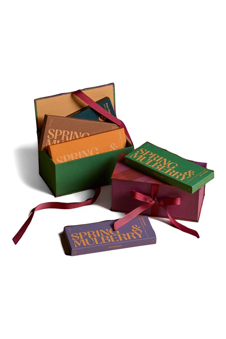 Ultimate Holiday Collection Date Sweetened Dark Chocolate Bars 10-Piece Gift Box, Main, color, MULTI