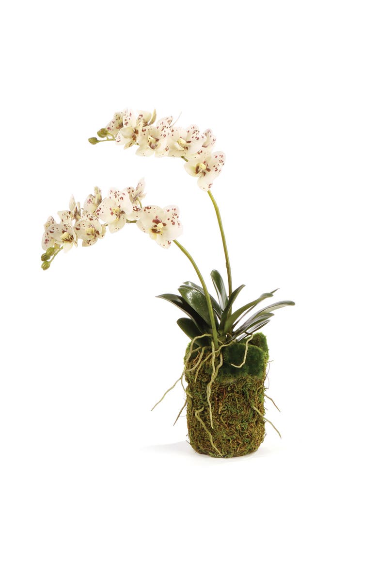 Phalaenopsis Orchid Artificial Drop-In 16", Main, color, White