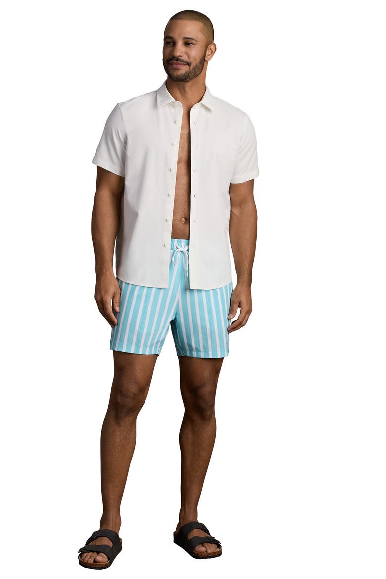 R and R Wide Stripe Swim Trunks, Alternate, color, BELIZE BLUE WIDE STRIPE