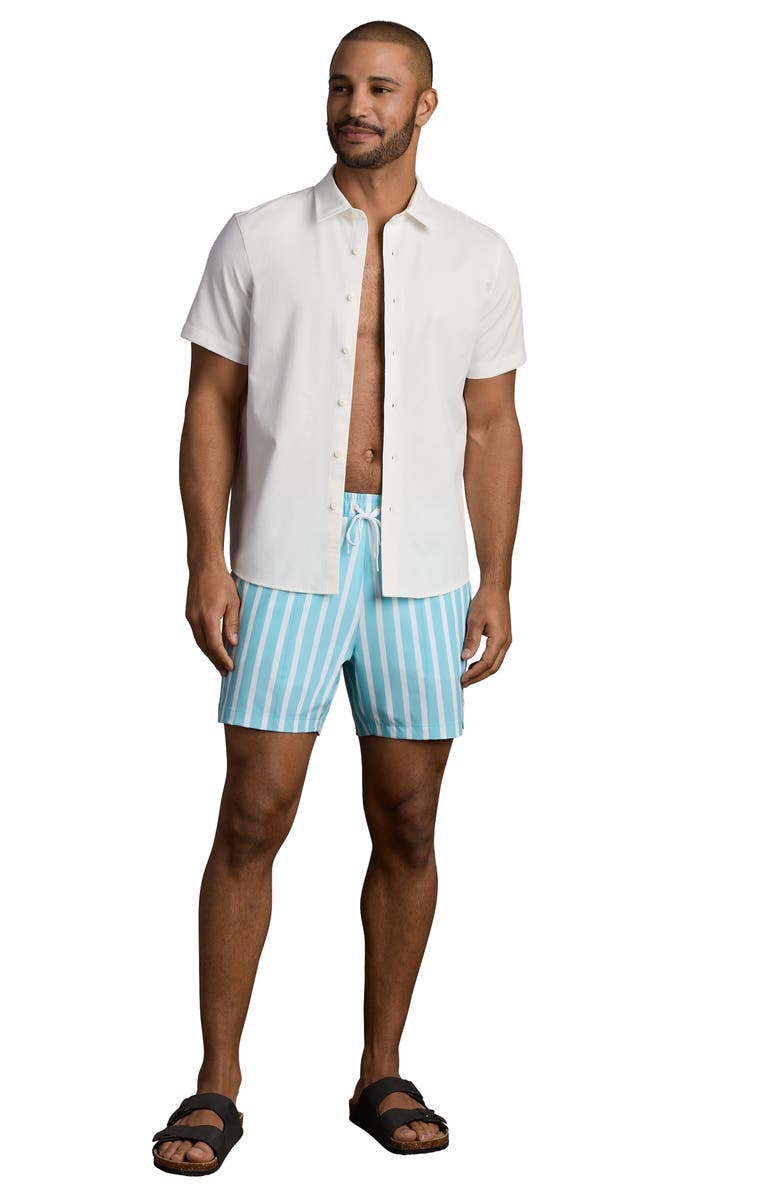 Rhone R and R Wide Stripe Swim Trunks, Alternate, color, Belize Blue Wide Stripe