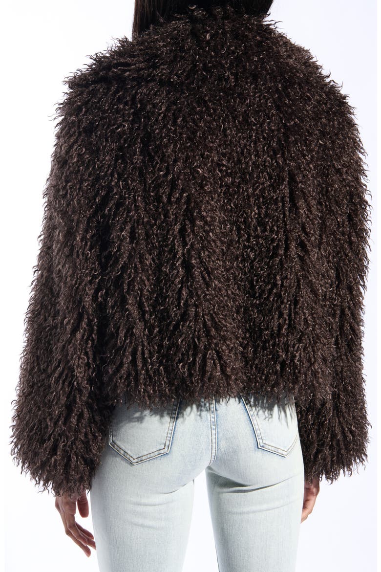Ruperta Faux Fur Jacket, Alternate, color, BROWN