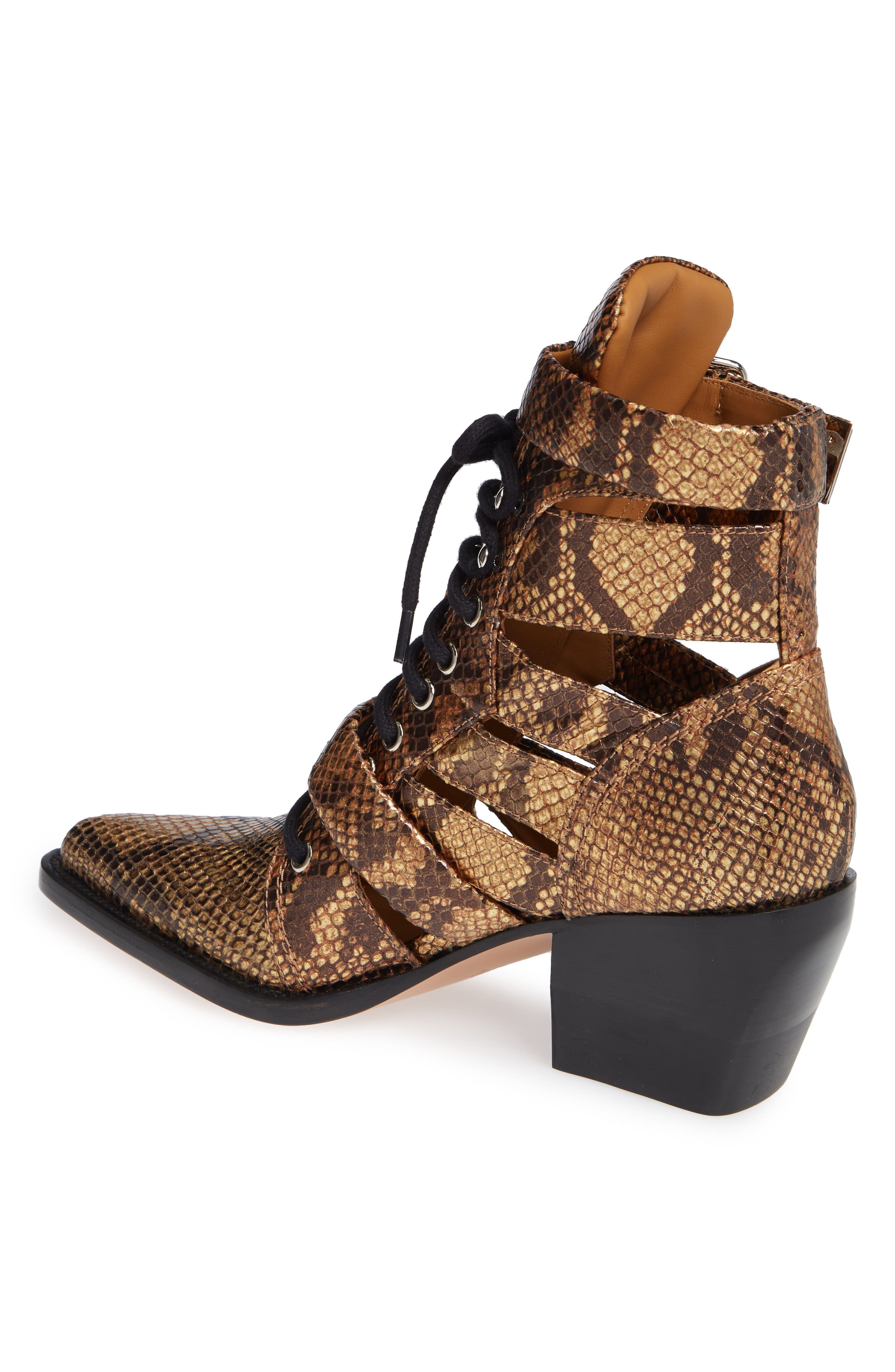 Chloé Rylee Pointy Toe Cage Boot, Alternate, color, 