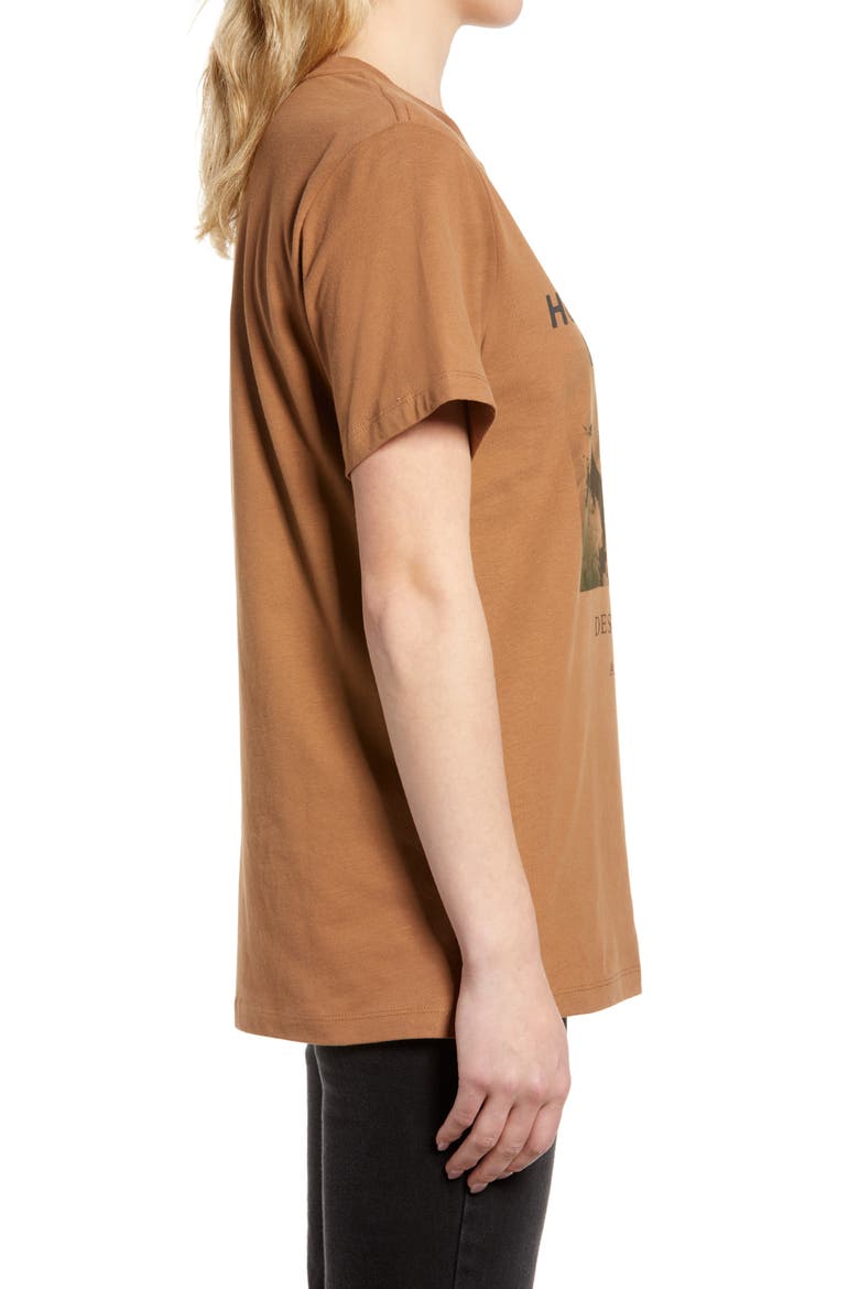 Santo Cotton Graphic Boyfriend Tee, Alternate, color, CONKER BROWN