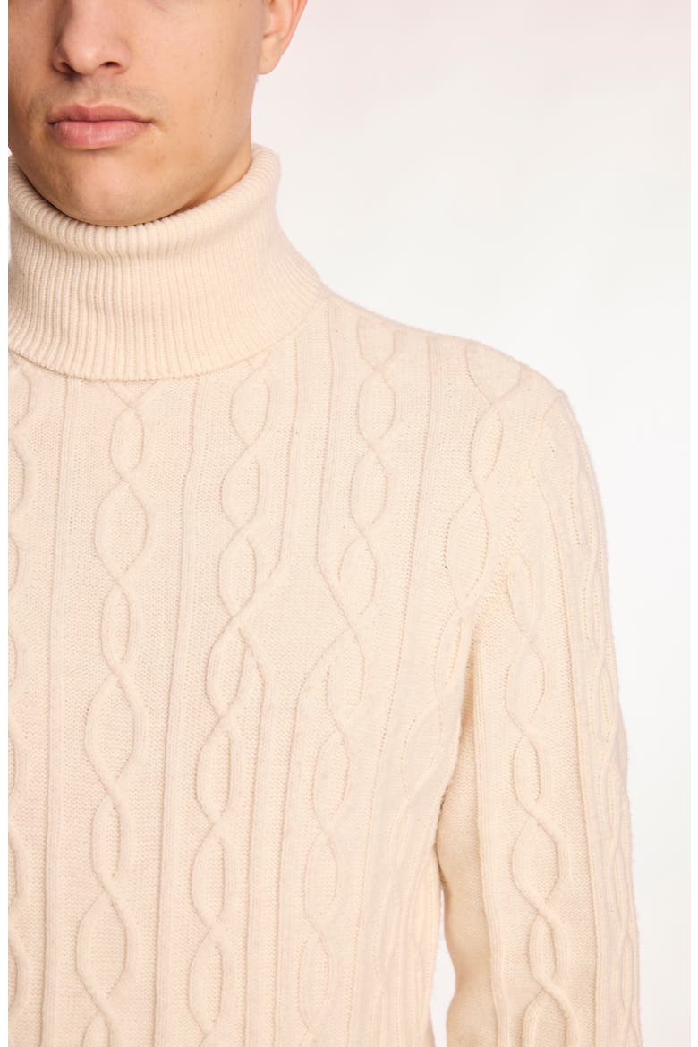 Cable Stitch Turtleneck Sweater, Alternate, color, BONE DUST