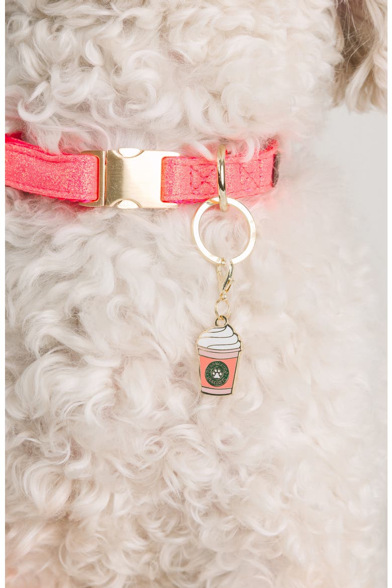 Puppucino Pet Collar Charm, Alternate, color, Puppucino