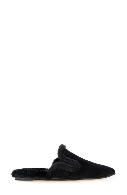 Splendid Liza Pointed Toe Mule In Black