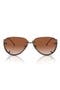  Shiny Antique Copper / Brown