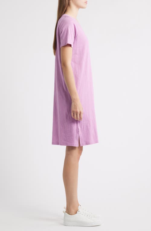 Eileen Fisher V-neck Organic Cotton T-shirt Dress