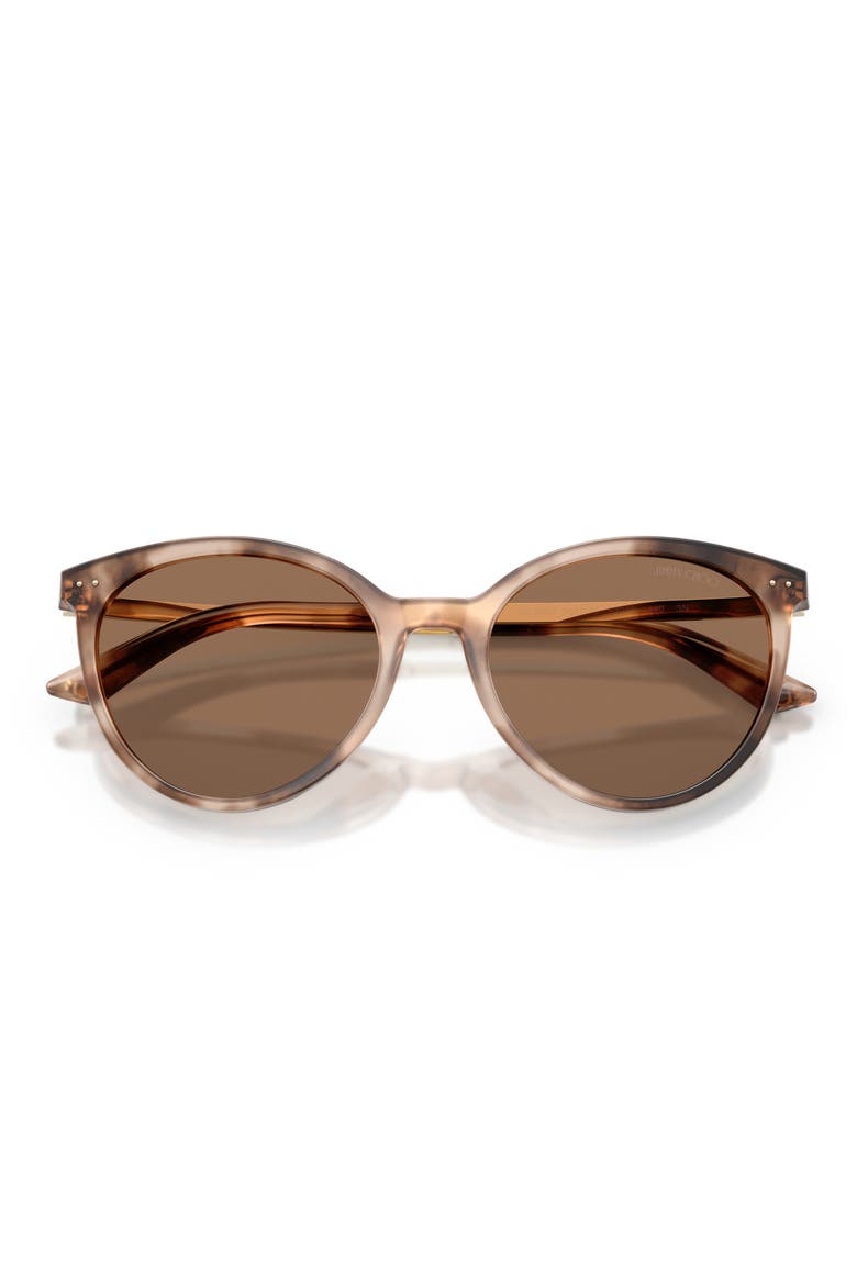 JC5060 53mm Phantos Sunglasses, Alternate, color, CHAI HAVANA / DARK BROWN