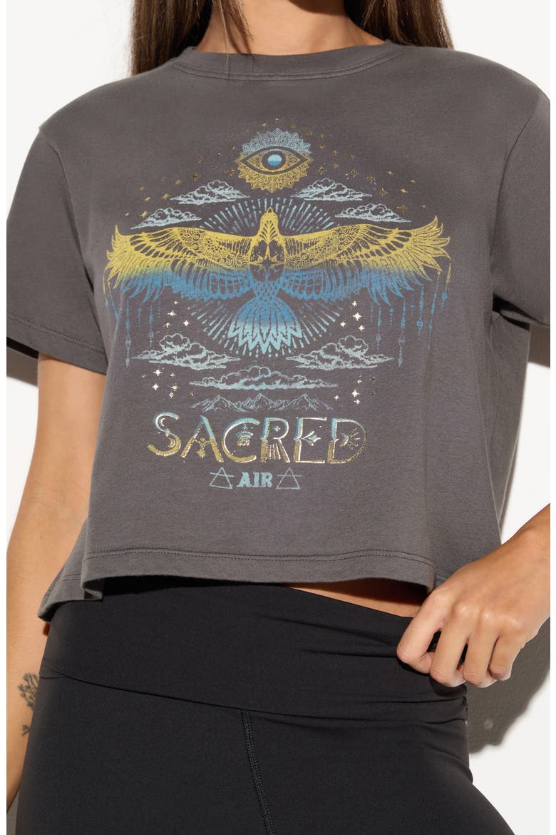 Hawk Spirit Graphic Tee, Alternate, color, VINTAGE BLACK