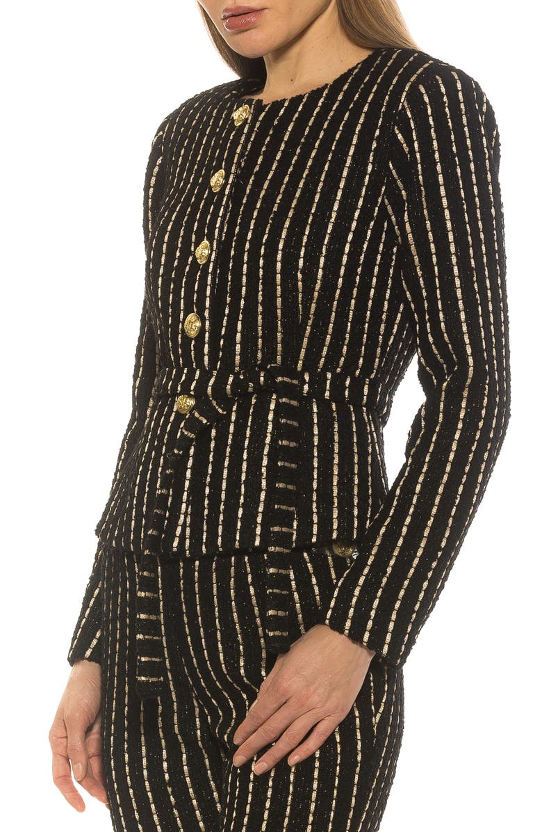 Alexia Admor Arjun Plaid Jacket, Alternate, color, Black Pinstripe