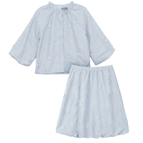 Floral Embroidery Applique Ruffle Neckline Shirred Blouse and Skirt Set