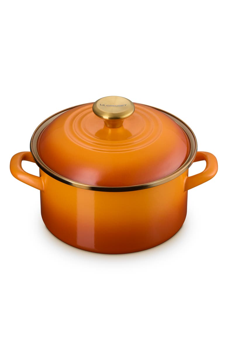 Le Creuset The Traditional Enameled Stainless Steel Petite Stockpot, Alternate, color, Persimmon