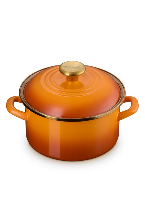 Le Creuset The Traditional Enameled Stainless Steel Petite Stockpot In Brown