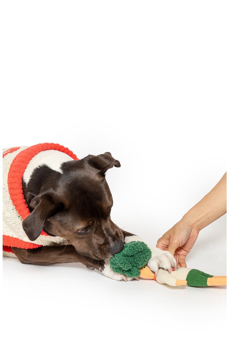 Flower Hooman Nosework Toy, Alternate, color, GREEN