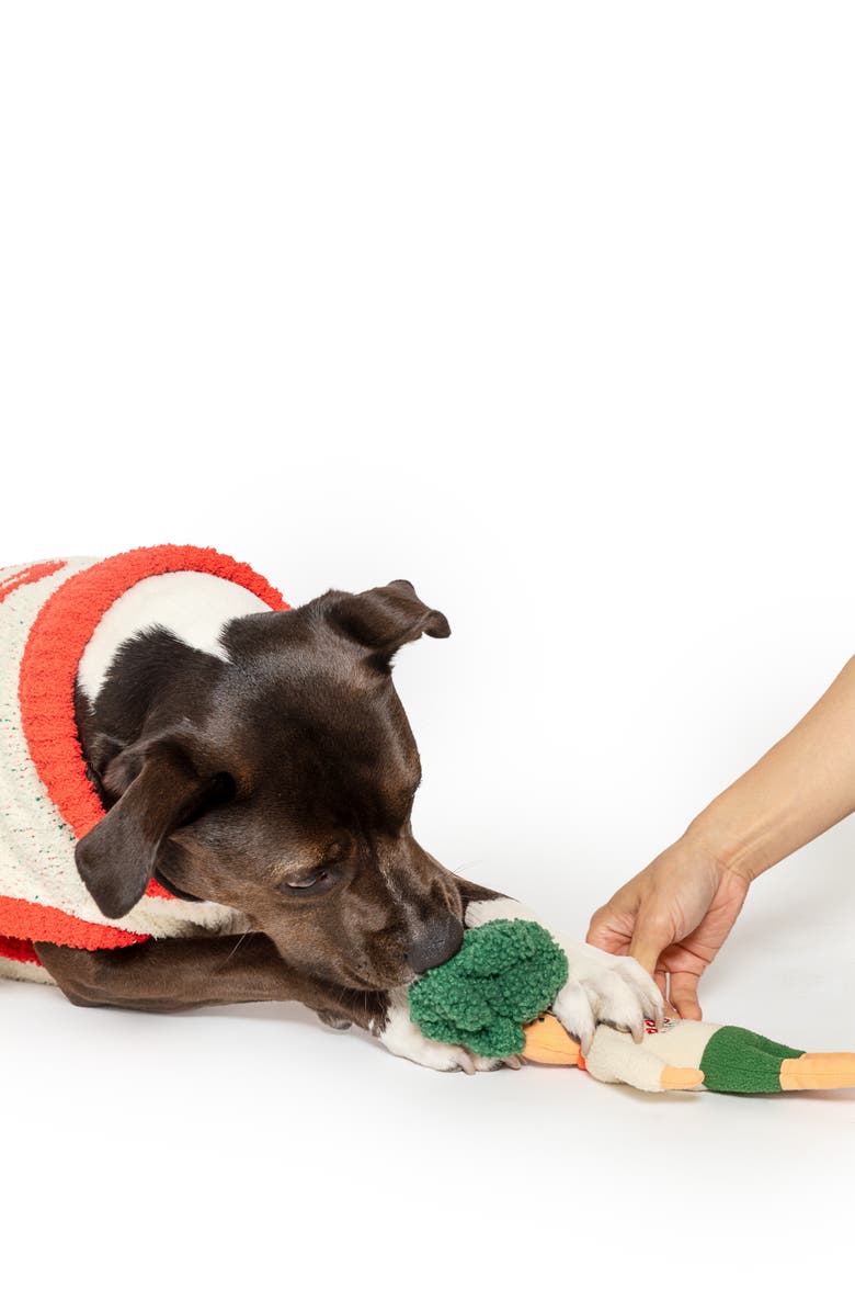 the furryfolks Flower Hooman Nosework Toy, Alternate, color, Green