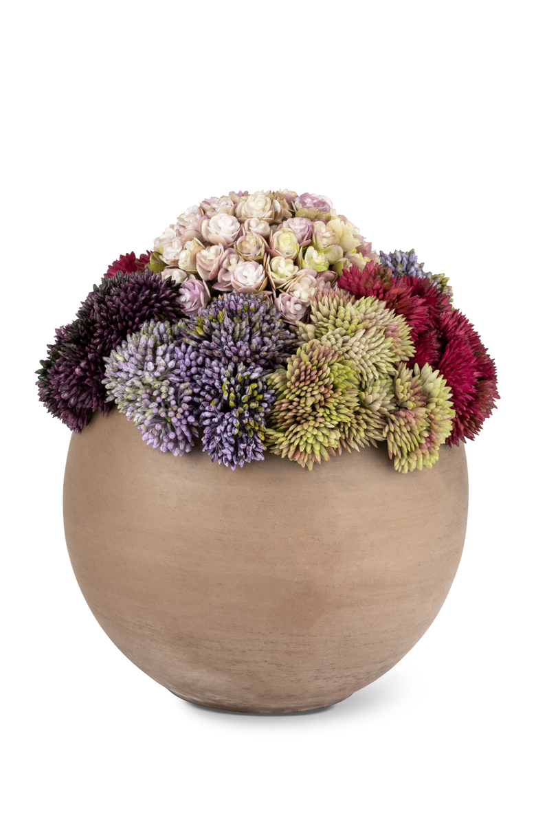 CocoBella Elias Sedum Arrangement, Main, color, Lavender Mélange