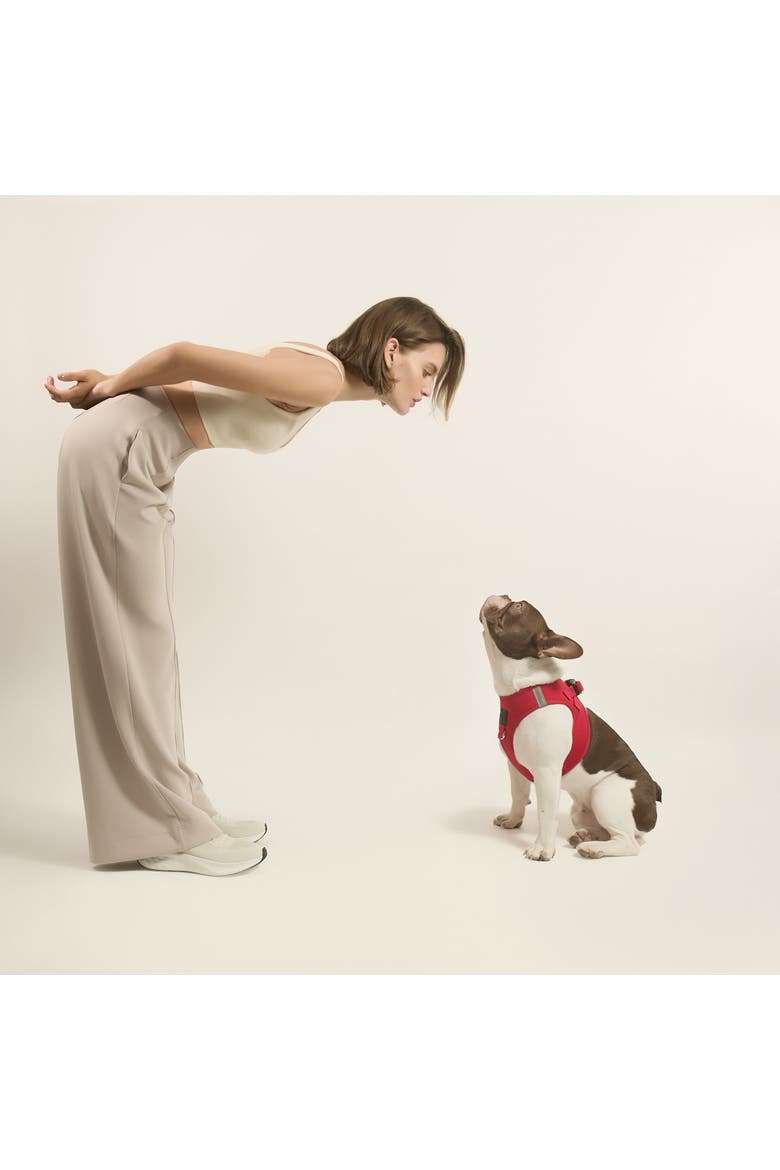 SoHo Dog Harness, Alternate, color, Iconic Red - Small