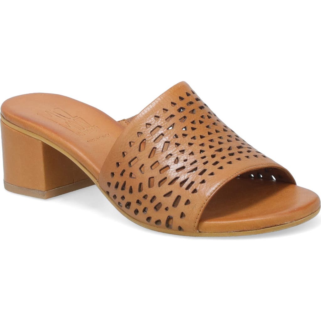 Miz Mooz Rylan Slide Sandal In Brandy