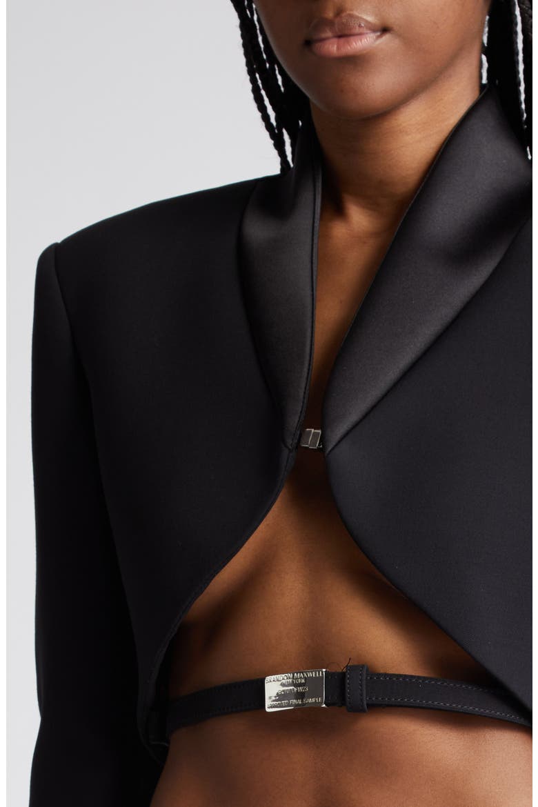 The Mya Wool Blend Crop Tuxedo Jacket, Alternate, color, BLACK