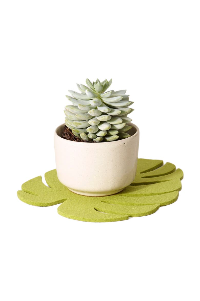 Merino Wool Medium Monstera Trivet, Alternate, color, Pistachio
