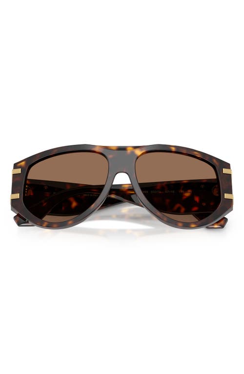 Dolce & Gabbana Dg4499 Aviator Acetate Sunglasses In Brown