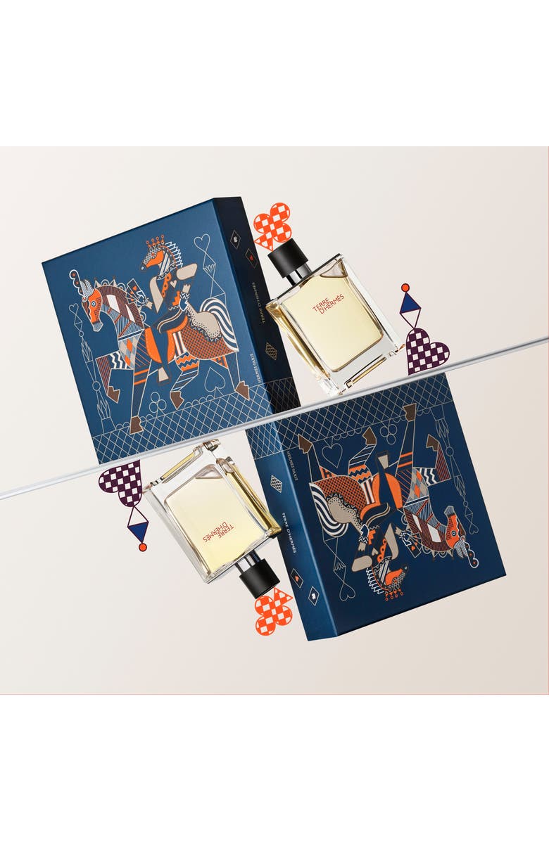 Hermès Terre d'Hermès - Eau de Toilette Spray Gift Set, Alternate, color, 