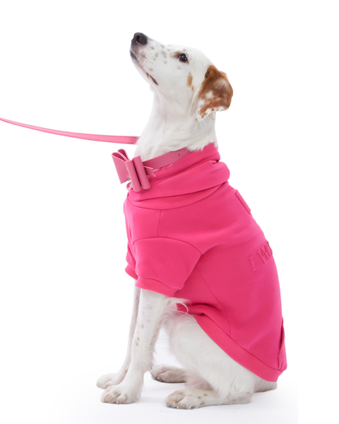 Paris I Woof U Dog Hoodie