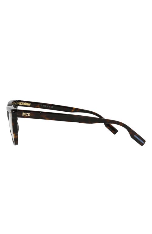 Alexander Mcqueen Mcqueen 50mm Cat Eye Optical Glasses In Havana Havana Transparent