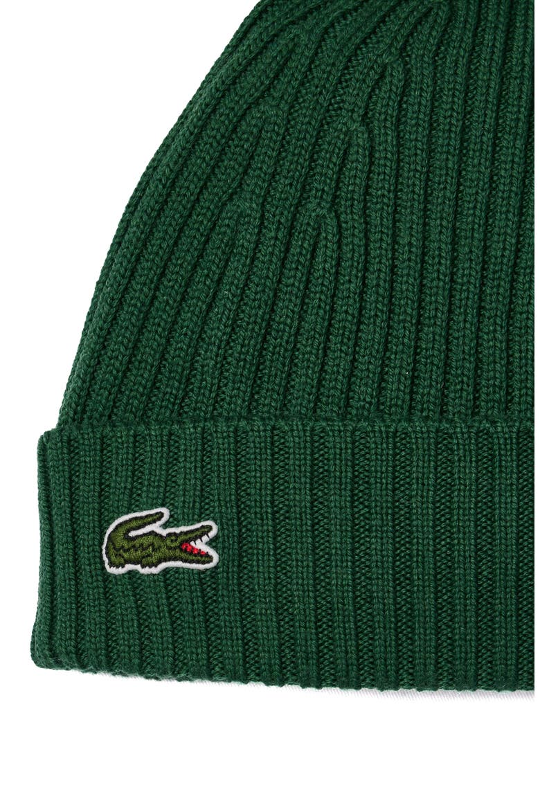 Wool Cuff Beanie, Alternate, color, VERT