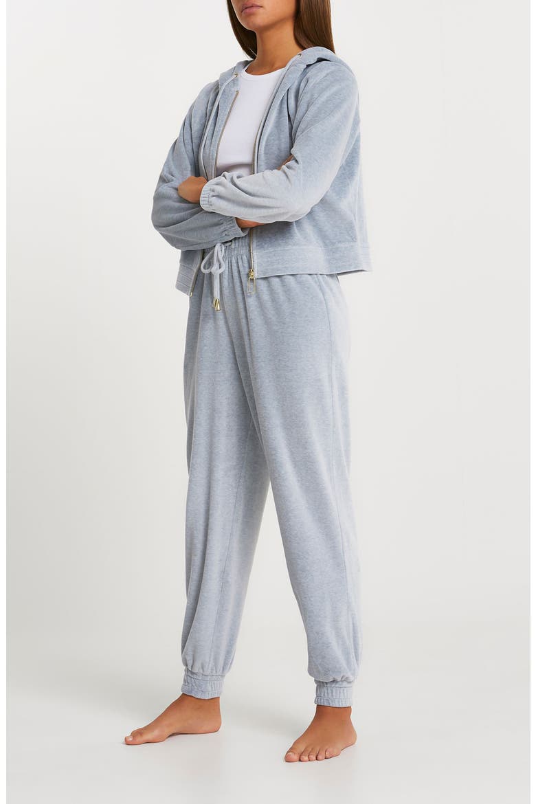 Velour Zip Hoodie, Alternate, color, GREY
