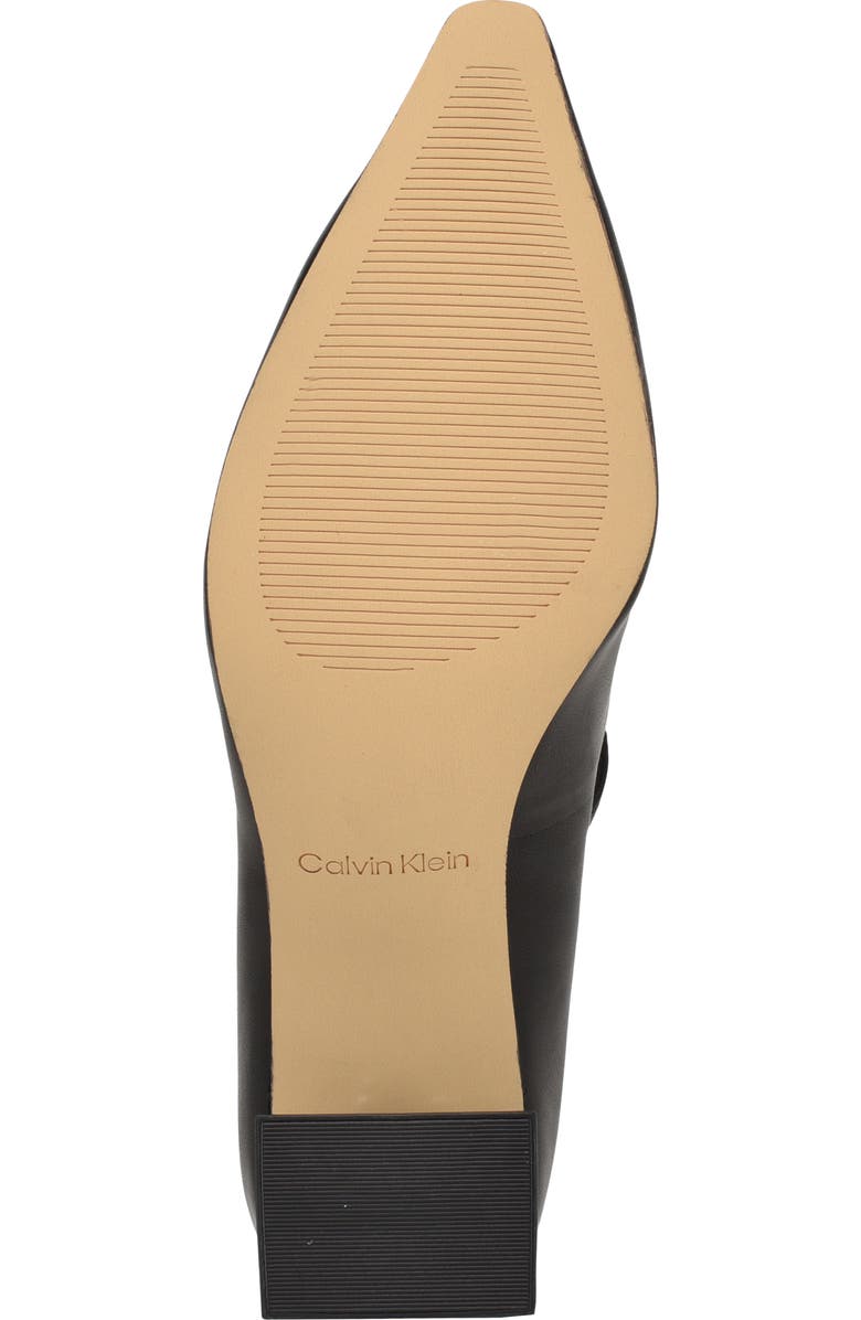 Calvin Klein Naprina Pointed Toe Mary Jane Pump, Alternate, color, Black