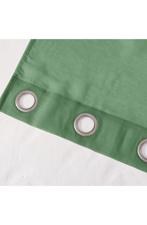 Dainty Home Set Of 2 Sheer Curtain Panels In Green