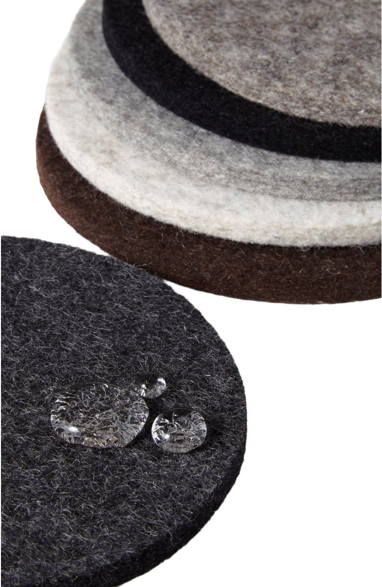 Graf Lantz Bierfilzl Merino Wool Round Coaster Multi 6 Pack, Alternate, color, Earth