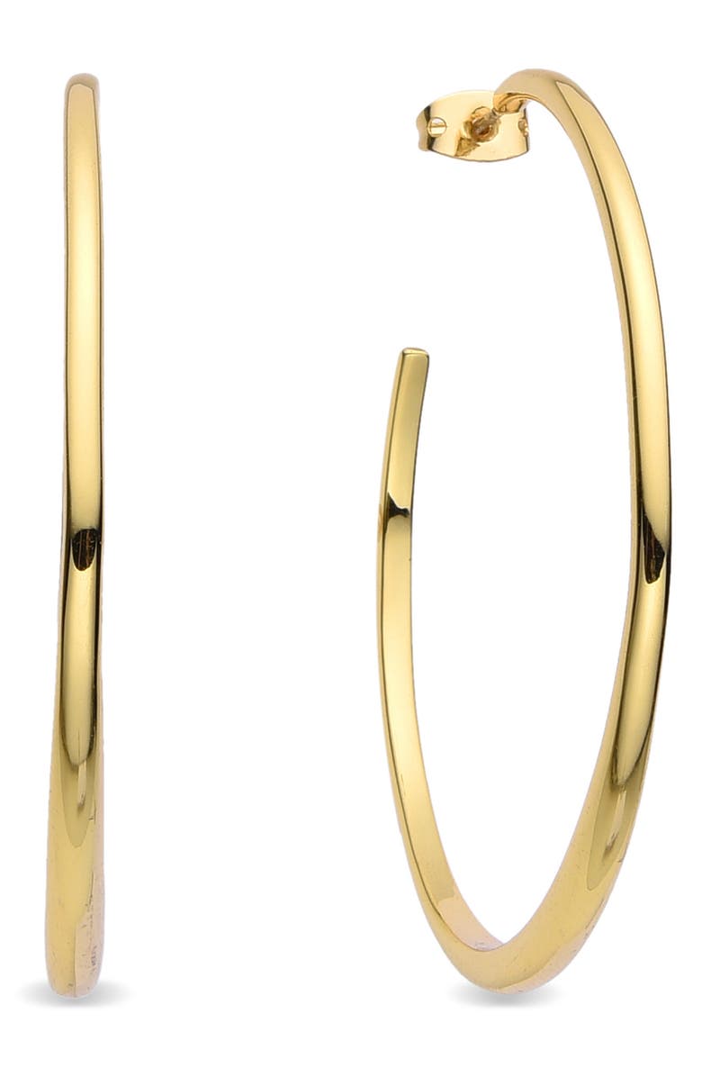 EYE CANDY LOS ANGELES Lisa Hoop Earrings, Main, color, Gold