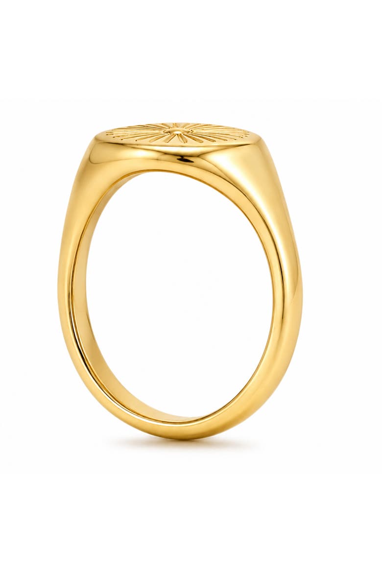 Golden Ray Signet Ring, Alternate, color, Gold