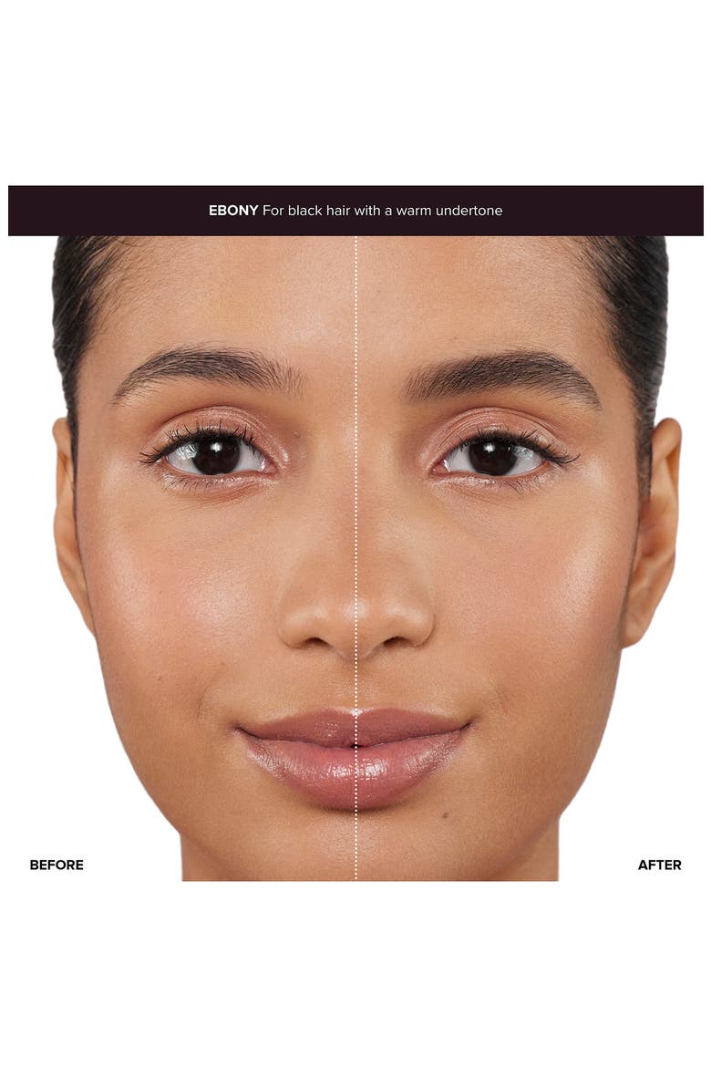 Natural & Polished Deluxe Eyebrow Kit (Nordstrom Exclusive) $73 Value, Alternate, color, EBONY