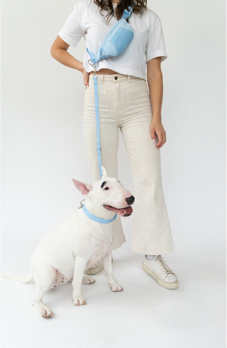 Springer Dog Sling Bag & 15 oz. Water Bottle Set, Alternate, color, Sky Blue