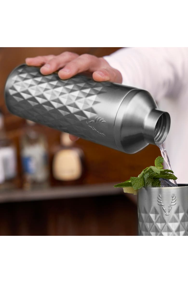 Paragon Stainless Steel Cocktail Shaker, Alternate, color, Platinum