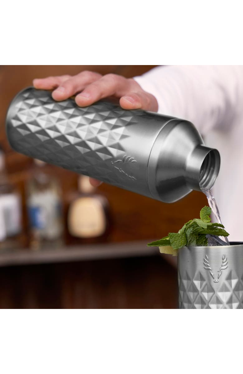 Viski Paragon Stainless Steel Cocktail Shaker, Alternate, color, Platinum