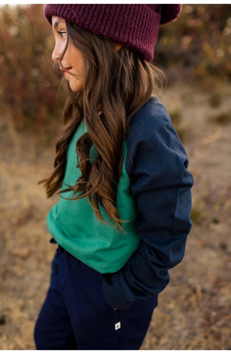 Jackalo Kids’ Stevie Organic Cotton Raglan Sweatshirt, Alternate, color, Hunter Green & Navy