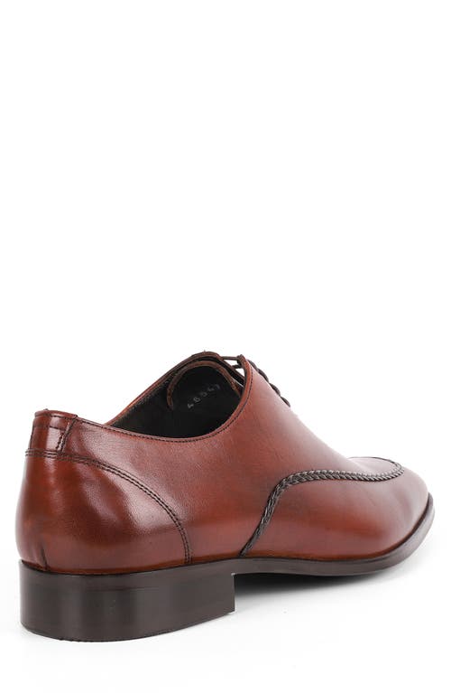 Vellapais Frisco Braided Oxford In Cognac