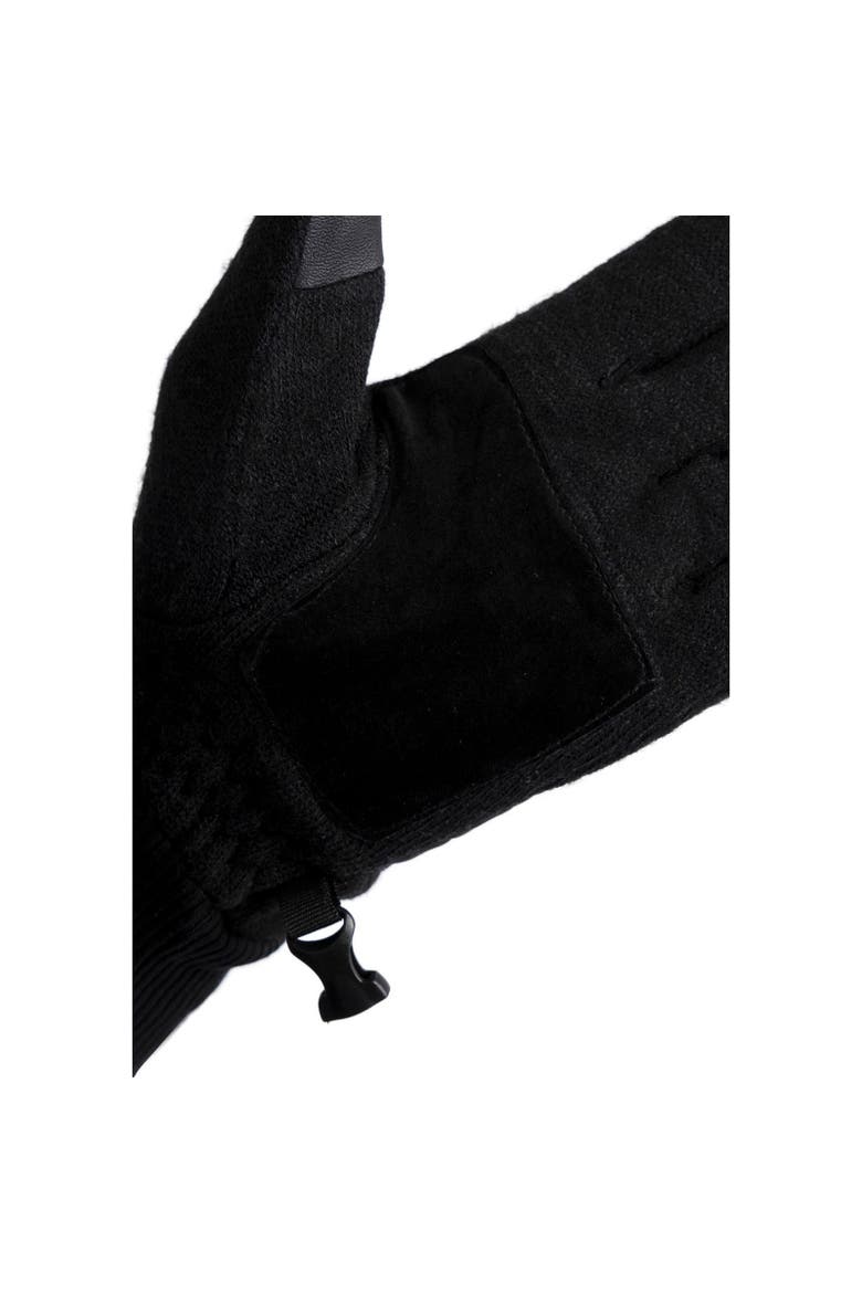 Douglas Leather Ski Gloves, Alternate, color, Black