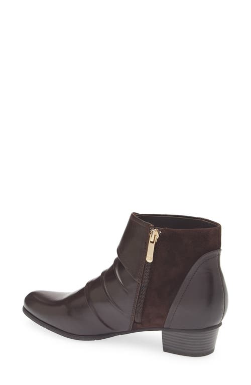 Regarde Le Ciel Stefany Harness Bootie In Brown