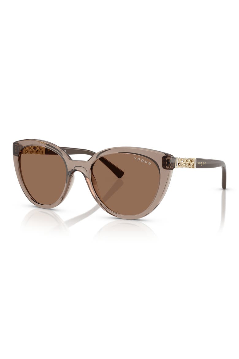 53mm Cat Eye Sunglasses, Alternate, color, TRANSPARENT BROWN