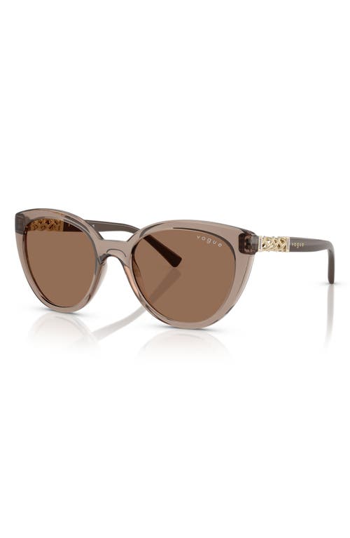 Vogue 53mm Cat Eye Sunglasses In Transparent Brown